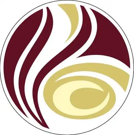 verena's-logo