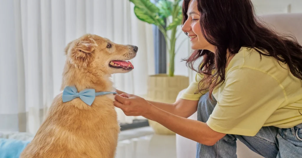 pet care business