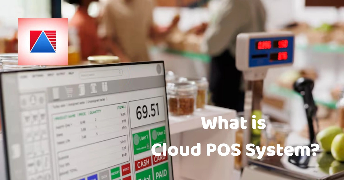 What is Cloud POS System